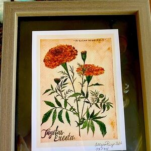 Framed Print — Hand Signed 8 * 12
